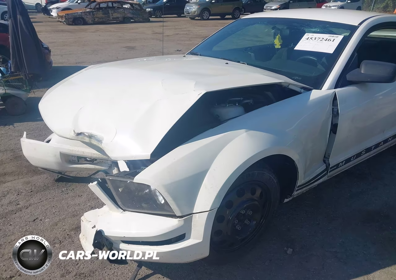2006 Ford Mustang V6 VIN:1ZVFT80N165174745 - 12