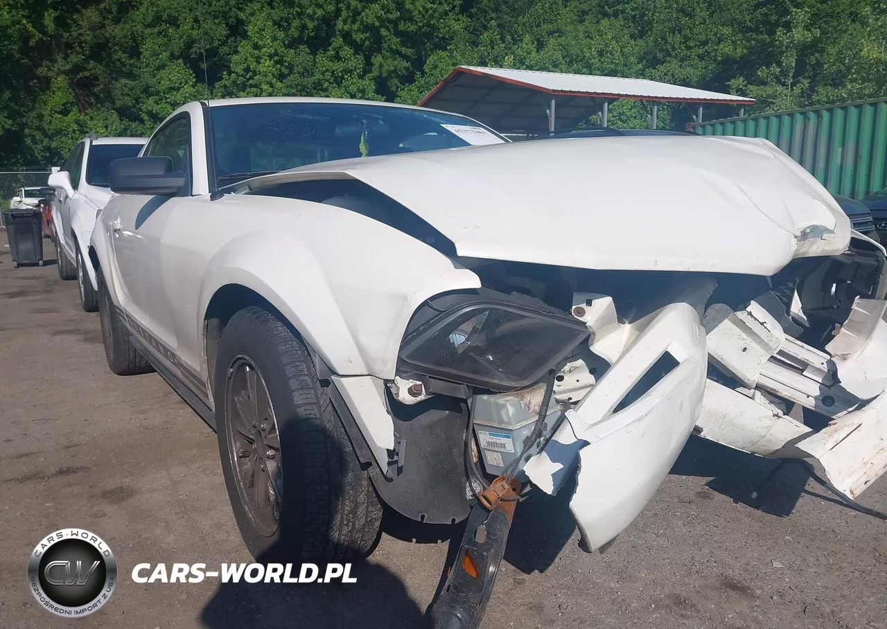 2006 Ford Mustang V6 VIN:1ZVFT80N165174745 - 13