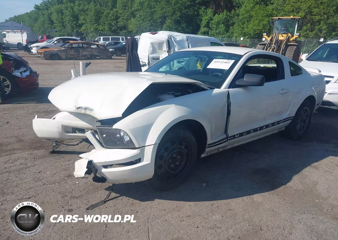2006 Ford Mustang V6 VIN:1ZVFT80N165174745 - 2