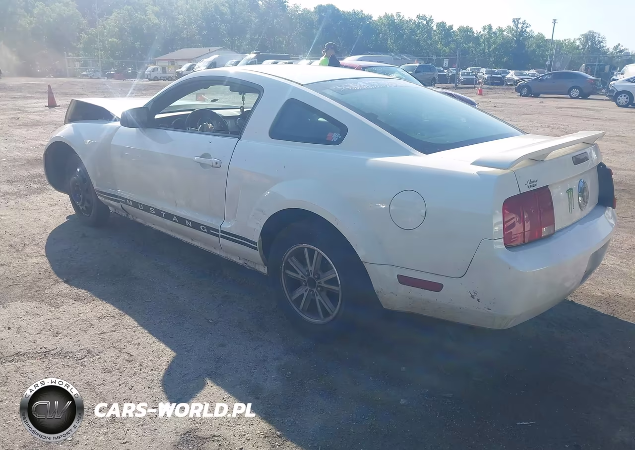 2006 Ford Mustang V6 VIN:1ZVFT80N165174745 - 3