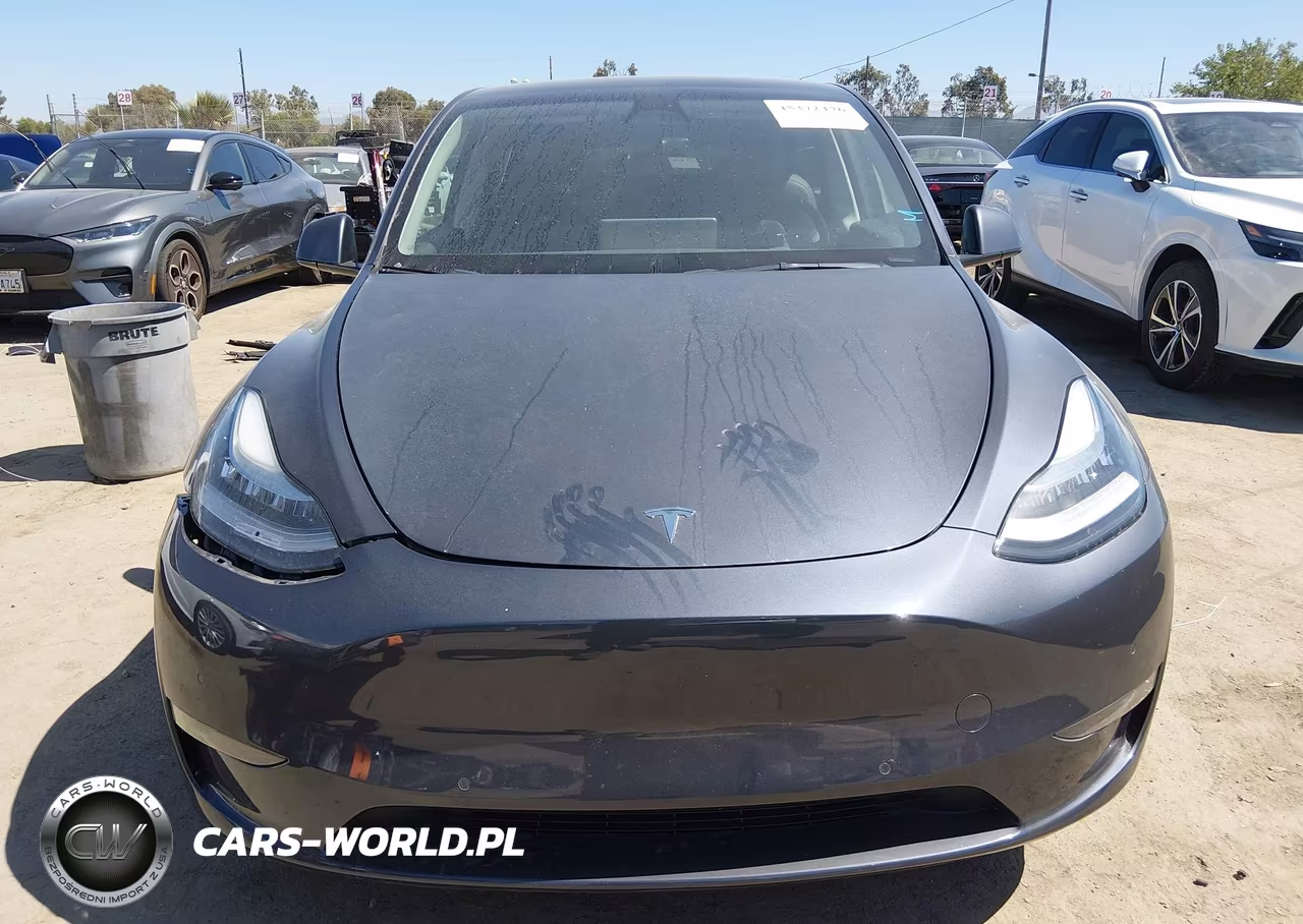 2021 Tesla Model Y Long Range Dual Motor All-Wheel Drive VIN:5YJYGDEE4MF282046 - 13