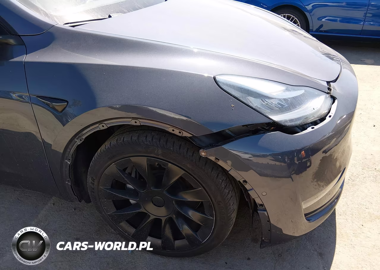 2021 Tesla Model Y Long Range Dual Motor All-Wheel Drive VIN:5YJYGDEE4MF282046 - 21