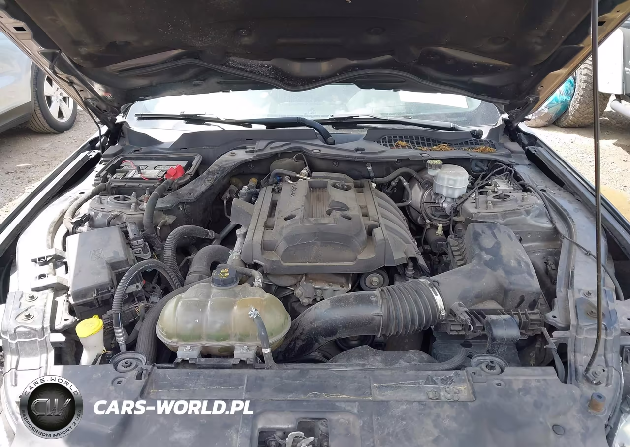 2019 Ford Mustang Ecoboost VIN:1FA6P8TH3K5134177 - 10