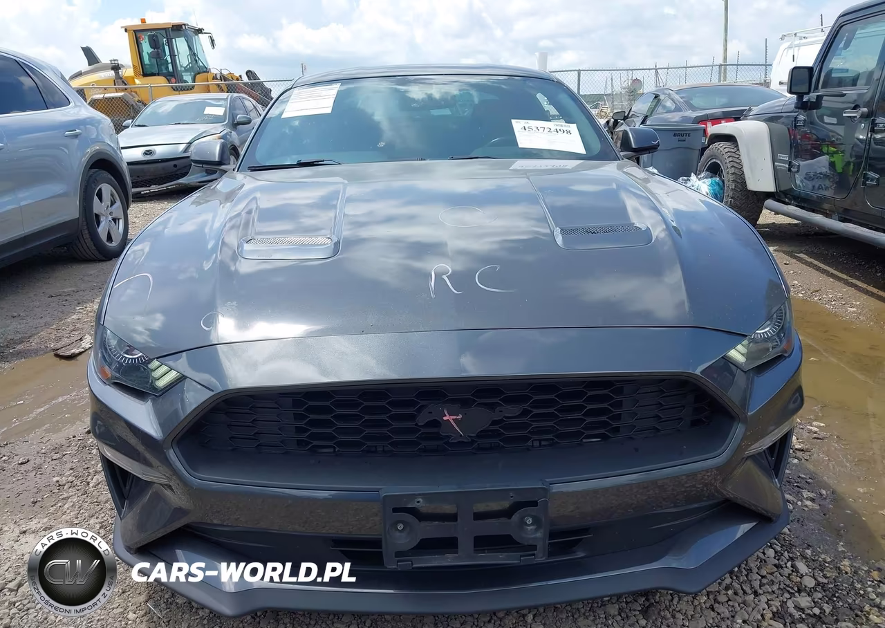 2019 Ford Mustang Ecoboost VIN:1FA6P8TH3K5134177 - 12