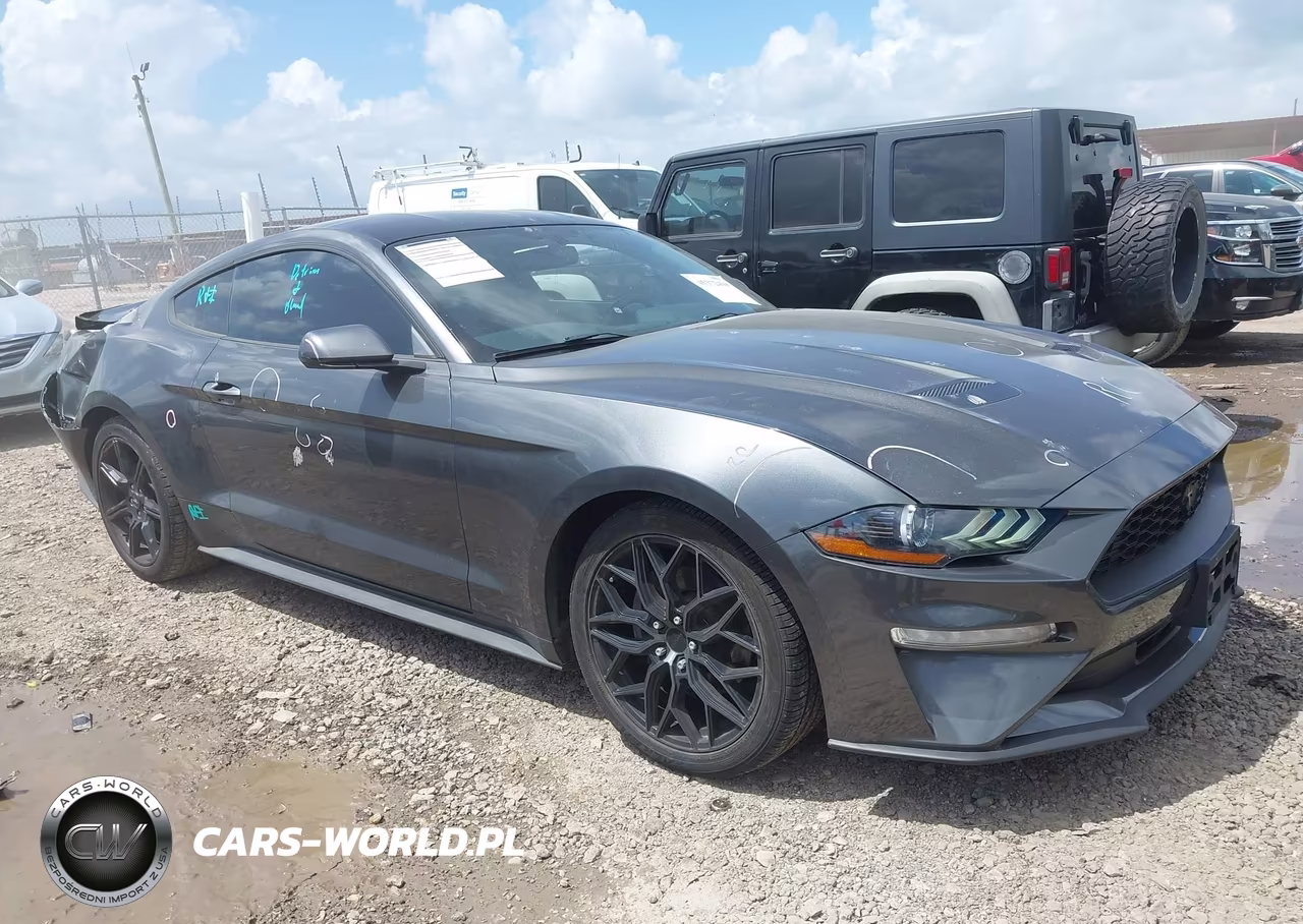 2019 Ford Mustang Ecoboost VIN:1FA6P8TH3K5134177 - 13