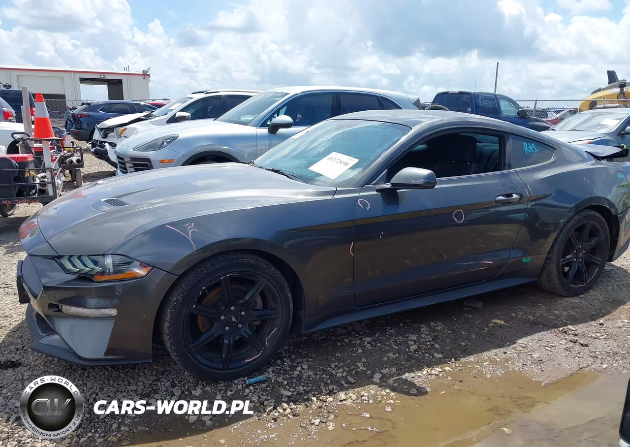 2019 Ford Mustang Ecoboost VIN:1FA6P8TH3K5134177 - 14