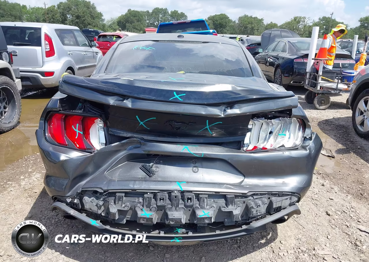 2019 Ford Mustang Ecoboost VIN:1FA6P8TH3K5134177 - 16