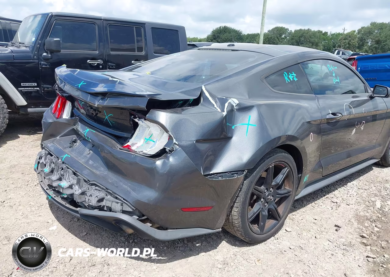 2019 Ford Mustang Ecoboost VIN:1FA6P8TH3K5134177 - 17