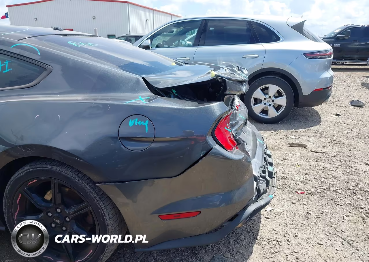 2019 Ford Mustang Ecoboost VIN:1FA6P8TH3K5134177 - 18