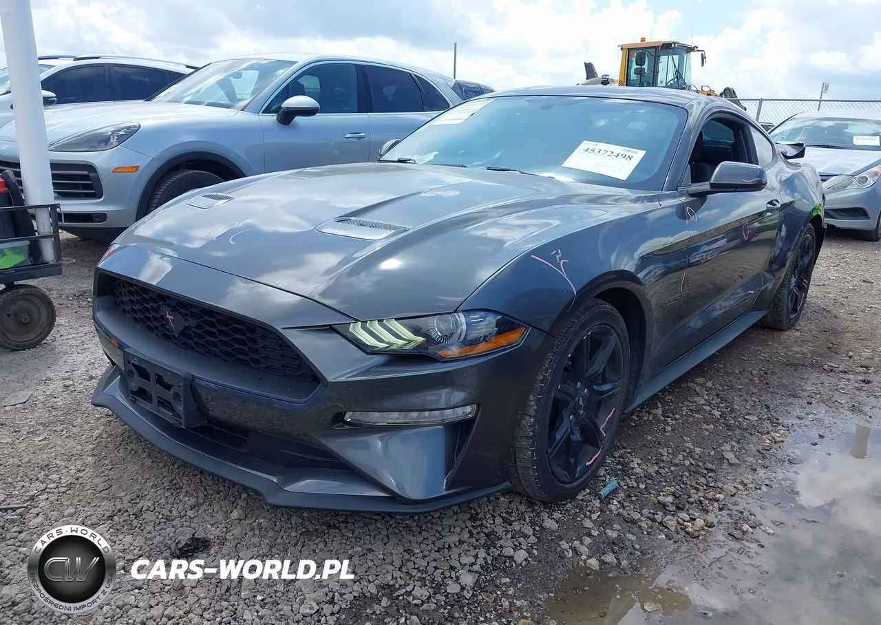 2019 Ford Mustang Ecoboost VIN:1FA6P8TH3K5134177 - 2