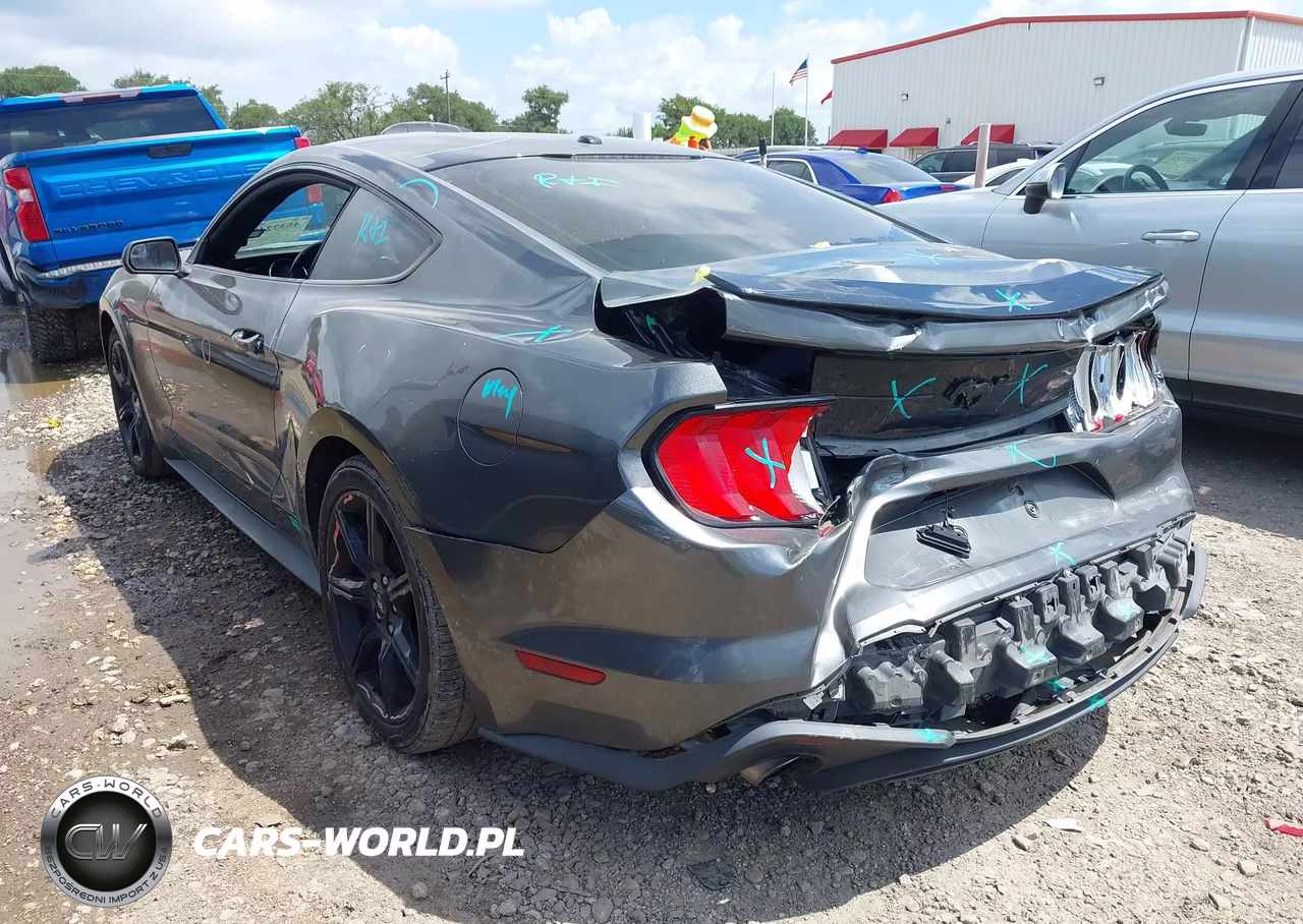 2019 Ford Mustang Ecoboost VIN:1FA6P8TH3K5134177 - 3