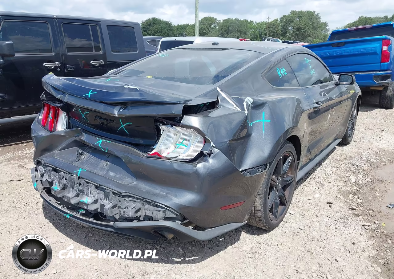 2019 Ford Mustang Ecoboost VIN:1FA6P8TH3K5134177 - 4