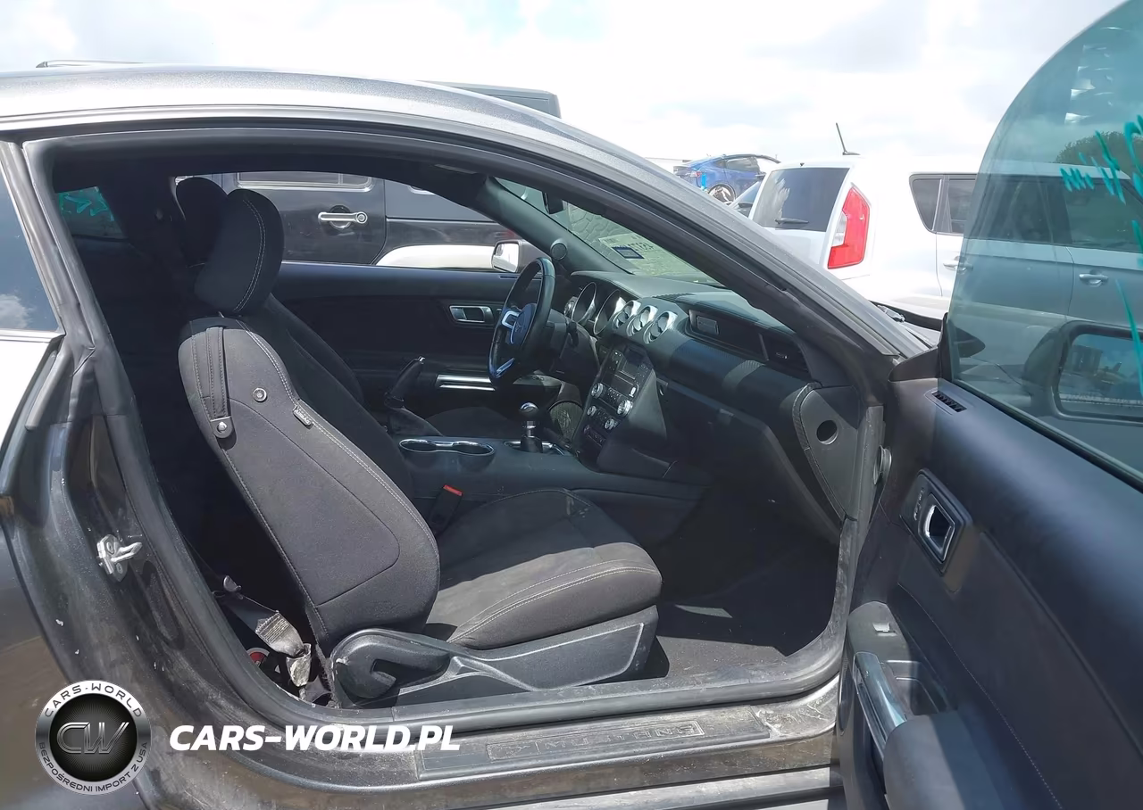 2019 Ford Mustang Ecoboost VIN:1FA6P8TH3K5134177 - 5