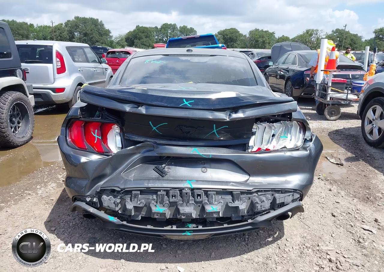 2019 Ford Mustang Ecoboost VIN:1FA6P8TH3K5134177 - 6