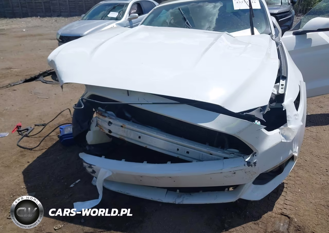 2016 Ford Mustang Ecoboost Premium VIN:1FATP8UHXG5274526 - 13