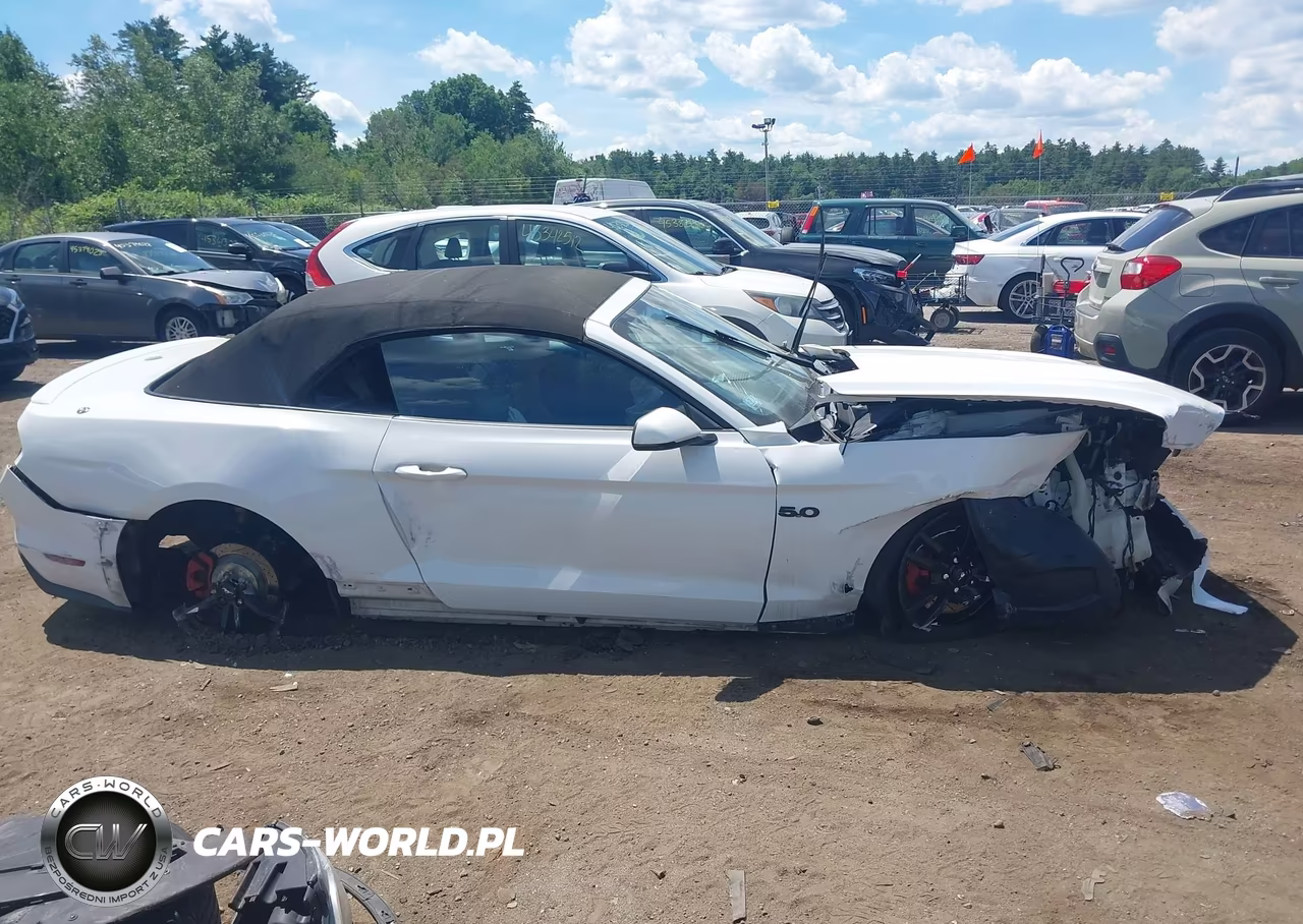 2016 Ford Mustang Ecoboost Premium VIN:1FATP8UHXG5274526 - 14
