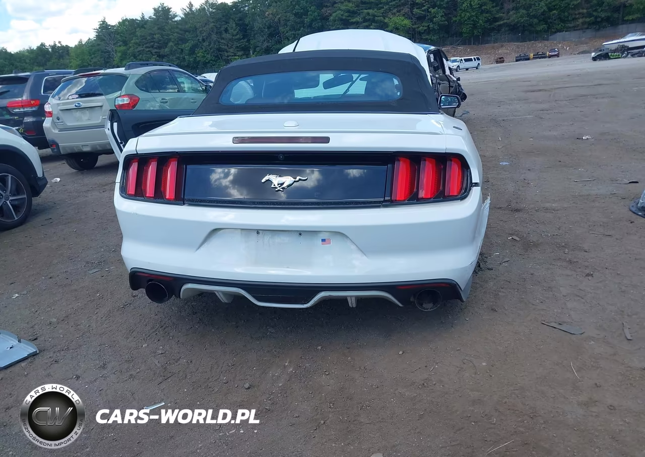 2016 Ford Mustang Ecoboost Premium VIN:1FATP8UHXG5274526 - 17