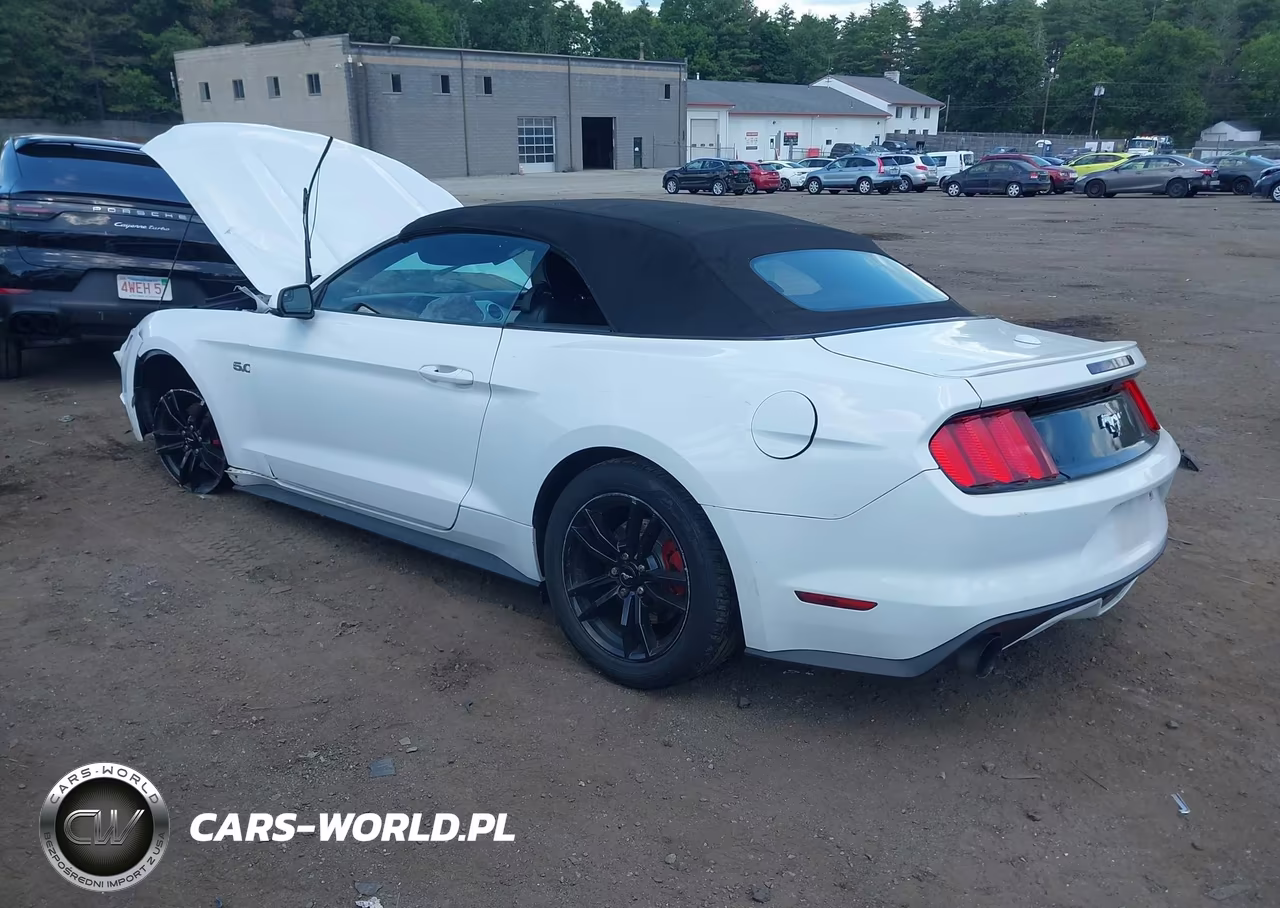 2016 Ford Mustang Ecoboost Premium VIN:1FATP8UHXG5274526 - 3