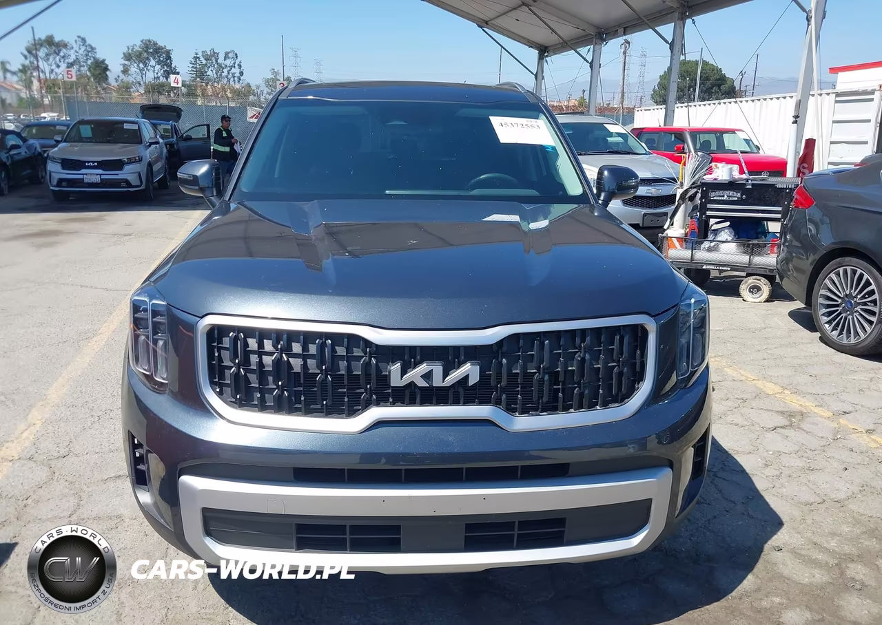 2024 Kia Telluride Ex VIN:5XYP3DGC6RG524466 - 13