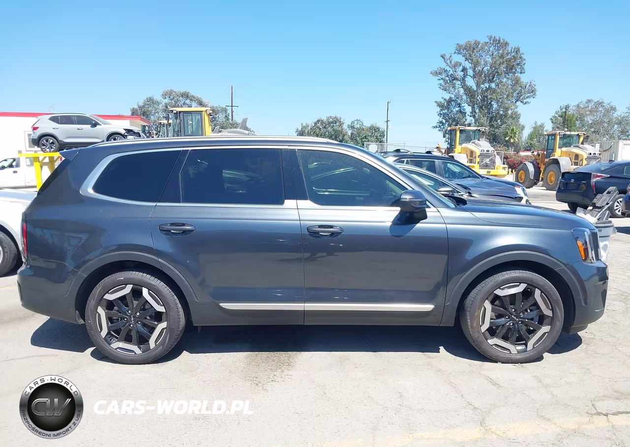 2024 Kia Telluride Ex VIN:5XYP3DGC6RG524466 - 14