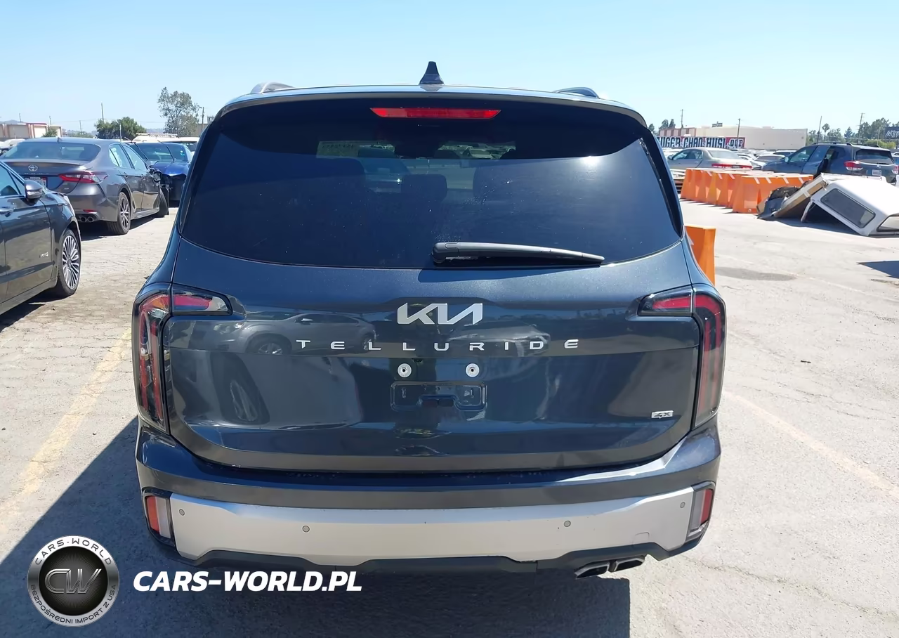 2024 Kia Telluride Ex VIN:5XYP3DGC6RG524466 - 17