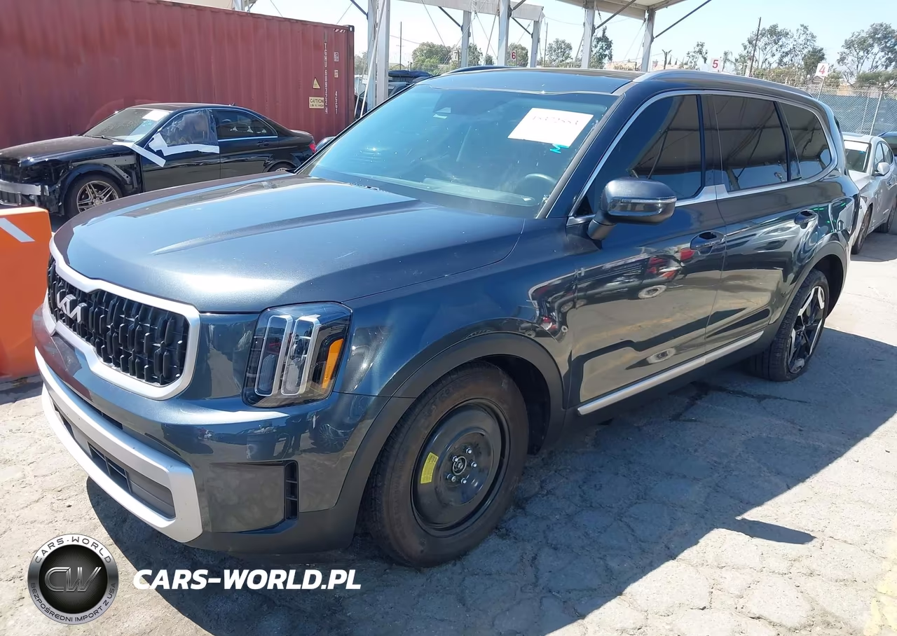 2024 Kia Telluride Ex VIN:5XYP3DGC6RG524466 - 2