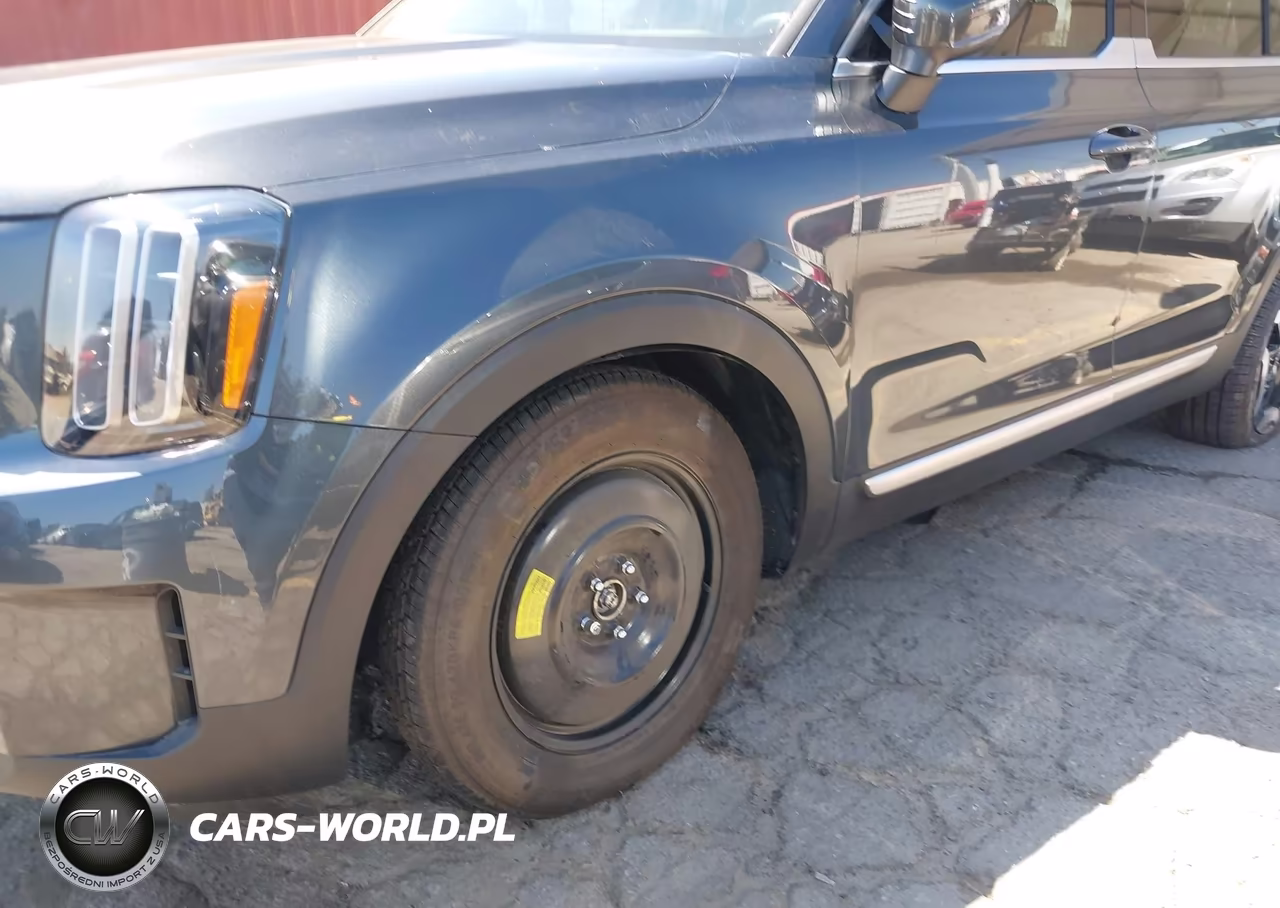 2024 Kia Telluride Ex VIN:5XYP3DGC6RG524466 - 21