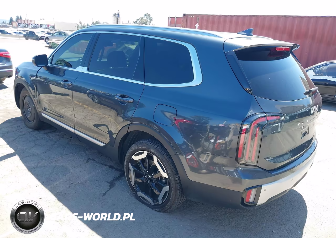 2024 Kia Telluride Ex VIN:5XYP3DGC6RG524466 - 3