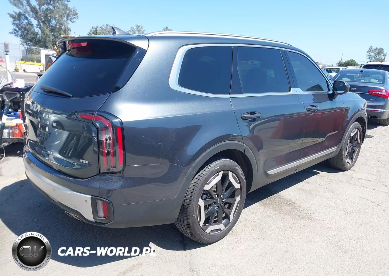 2024 Kia Telluride Ex VIN:5XYP3DGC6RG524466 - 4