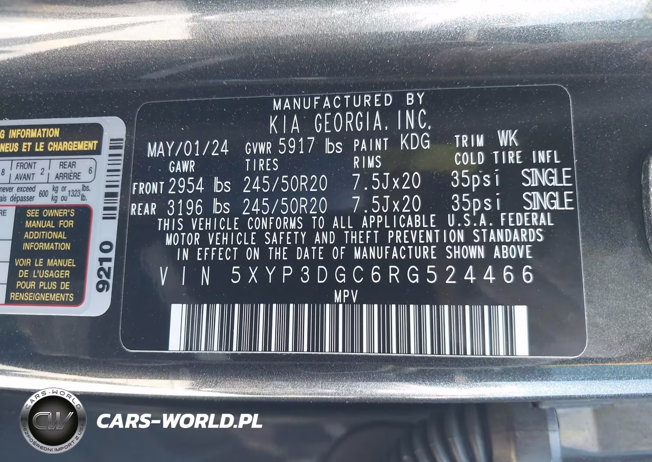 2024 Kia Telluride Ex VIN:5XYP3DGC6RG524466 - 9