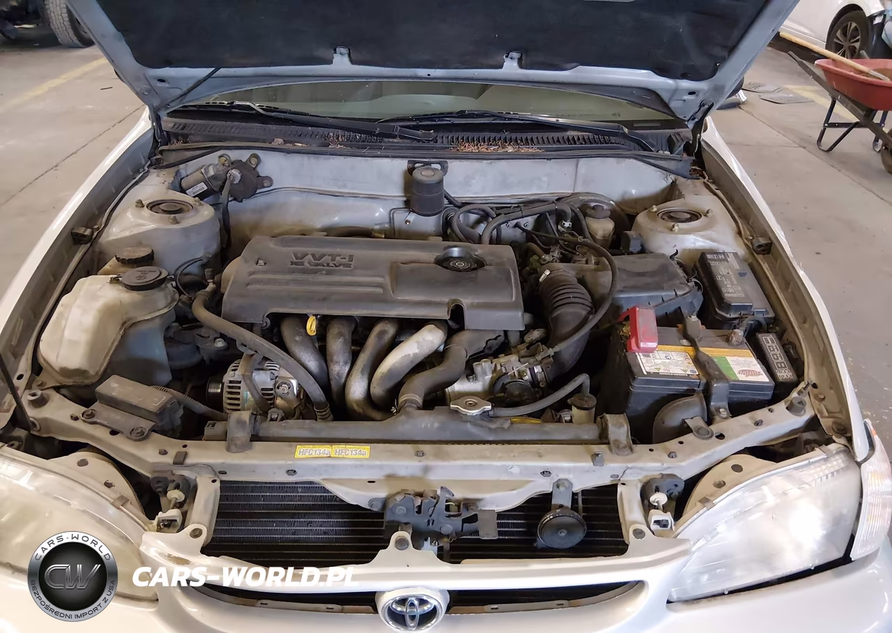 2000 Toyota Corolla Ve VIN:1NXBR12E9YZ389718 - 10