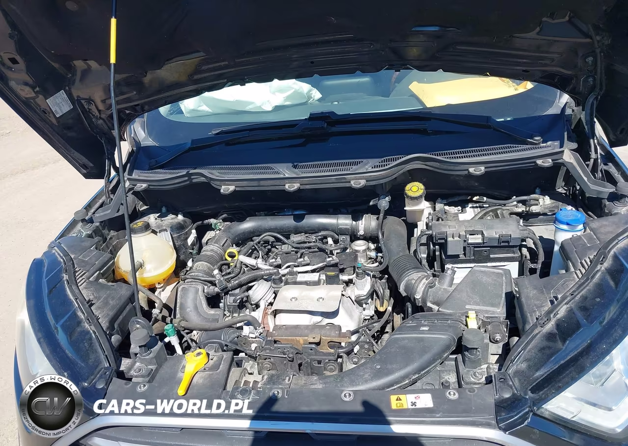 2018 Ford Ecosport Se VIN:MAJ3P1TE5JC242083 - 10