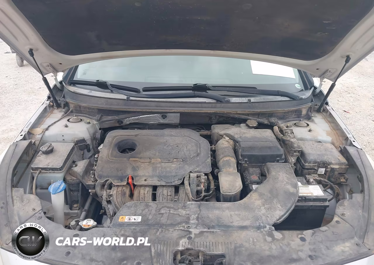 2015 Hyundai Sonata Se VIN:5NPE24AF4FH151039 - 10