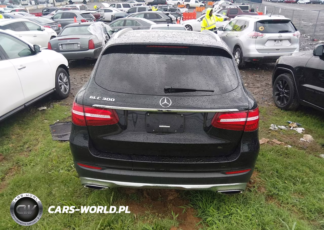2019 Mercedes-Benz Glc 300 VIN:WDC0G4JB9KV169310 - 16