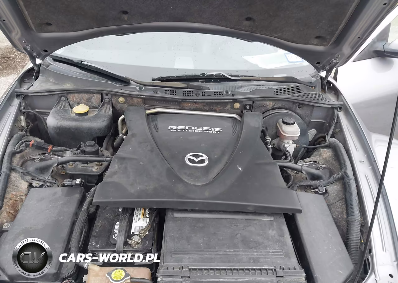 2004 Mazda Rx-8 Sport Automatic VIN:JM1FE17N240140639 - 10