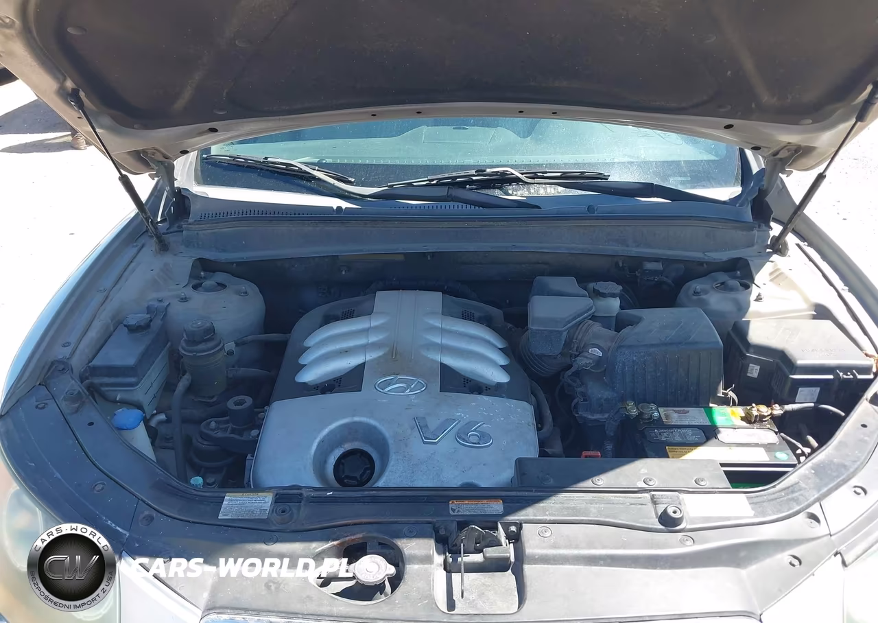 2007 Hyundai Santa Fe Limited-Se VIN:5NMSH13E77H001011 - 10