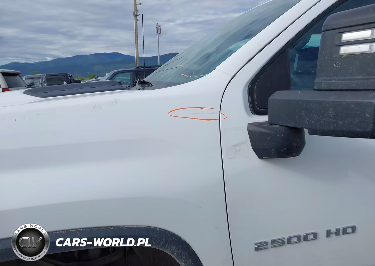 2020 Chevrolet Silverado 2500Hd 4Wd Standard Bed Wt VIN:1GC5YLE79LF306489 - 17