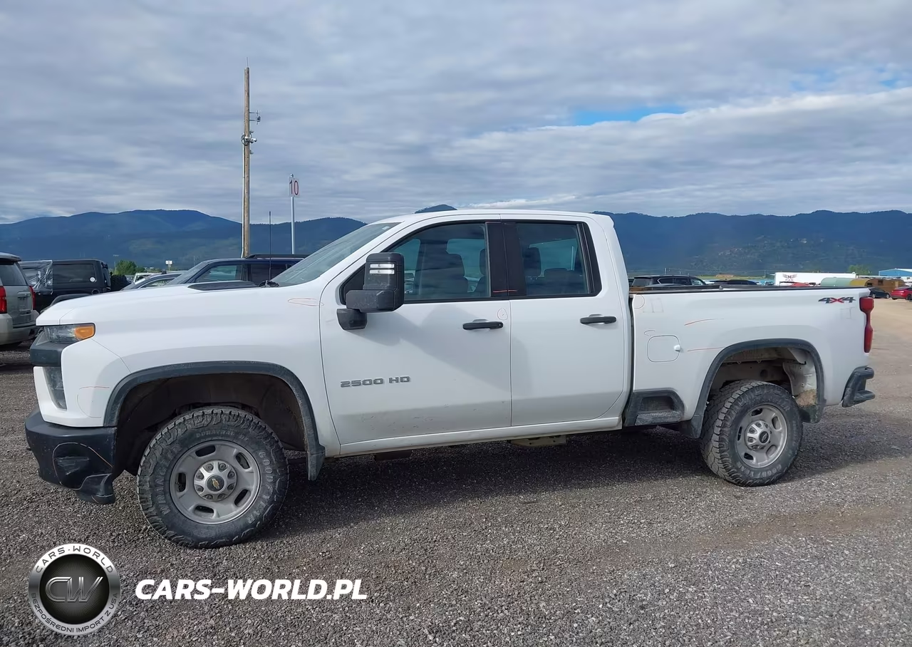 2020 Chevrolet Silverado 2500Hd 4Wd Standard Bed Wt VIN:1GC5YLE79LF306489 - 20