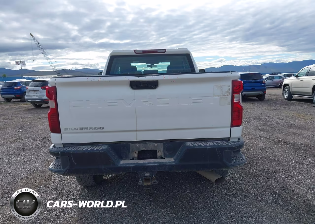 2020 Chevrolet Silverado 2500Hd 4Wd Standard Bed Wt VIN:1GC5YLE79LF306489 - 22