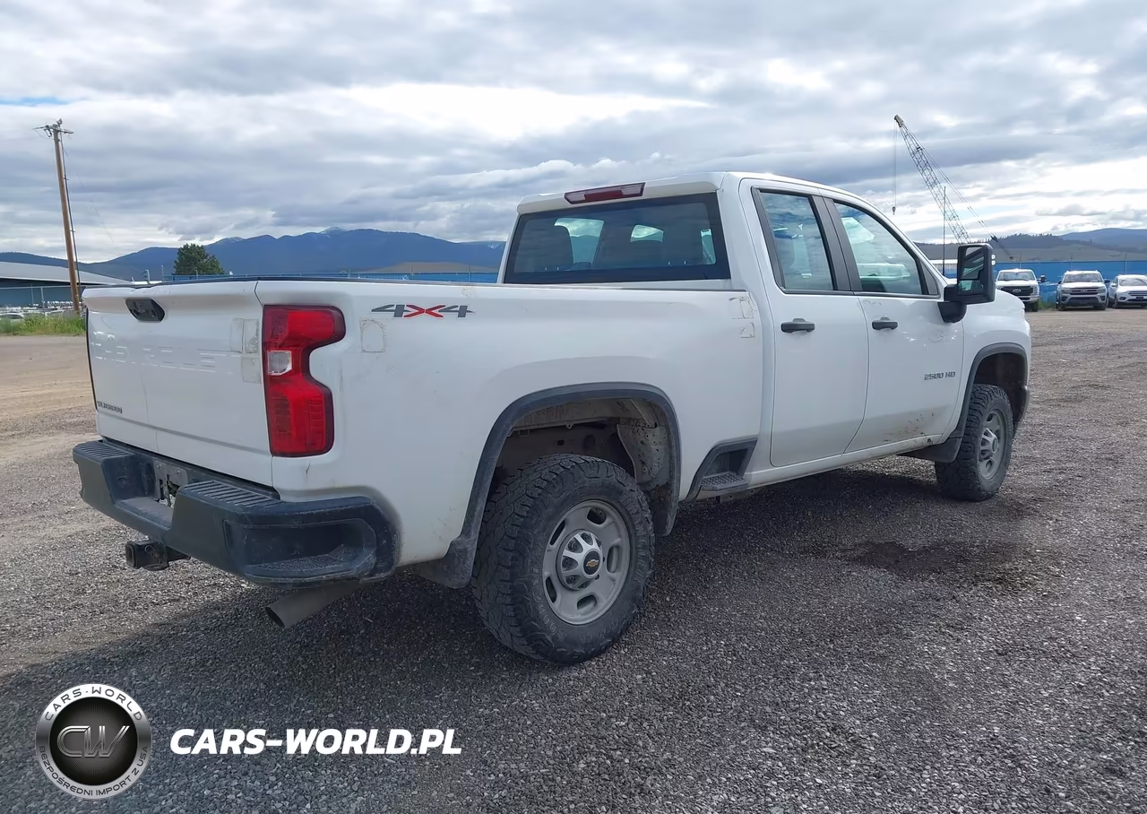 2020 Chevrolet Silverado 2500Hd 4Wd Standard Bed Wt VIN:1GC5YLE79LF306489 - 4
