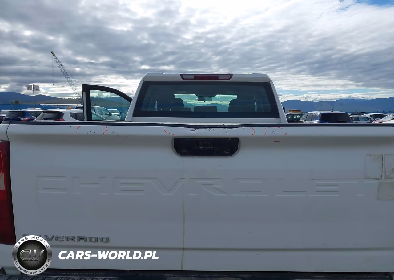 2020 Chevrolet Silverado 2500Hd 4Wd Standard Bed Wt VIN:1GC5YLE79LF306489 - 6
