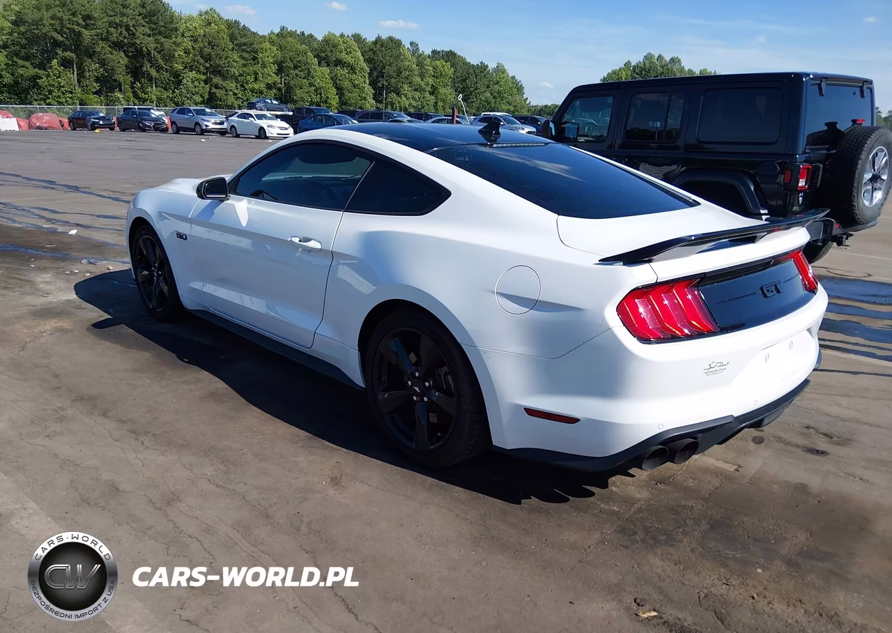 2021 Ford Mustang Gt Premium Fastback VIN:1FA6P8CF4M5104445 - 3