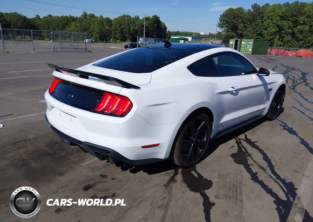 2021 Ford Mustang Gt Premium Fastback VIN:1FA6P8CF4M5104445 - 4