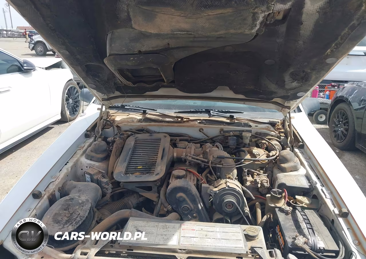 1987 Ford Thunderbird VIN:1FABP64W4HH195948 - 10