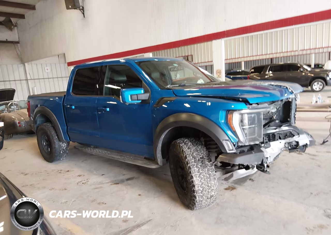 2021 Ford F-150 Raptor VIN:1FTFW1RG8MFC28121 - 13