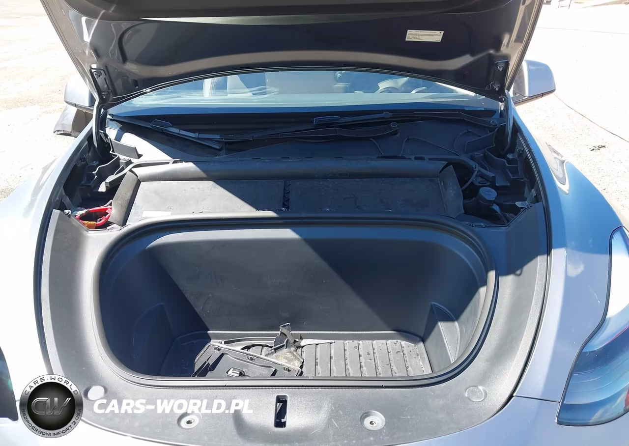 2025 Tesla Model Y Long Range Dual Motor Rear-Wheel Drive VIN:7SAYGDED3SF265651 - 10