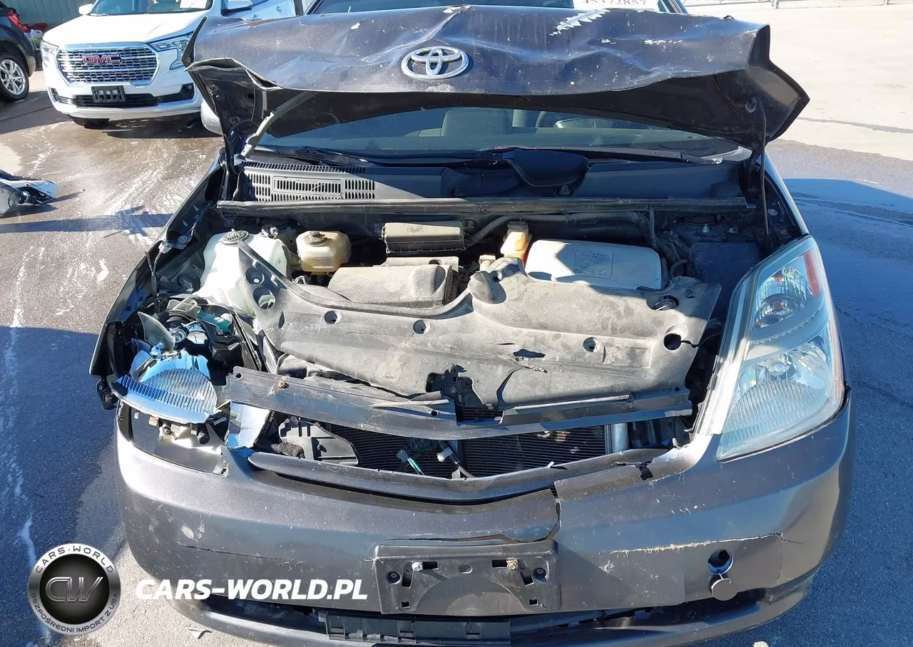 2007 Toyota Prius VIN:JTDKB20U173290954 - 10