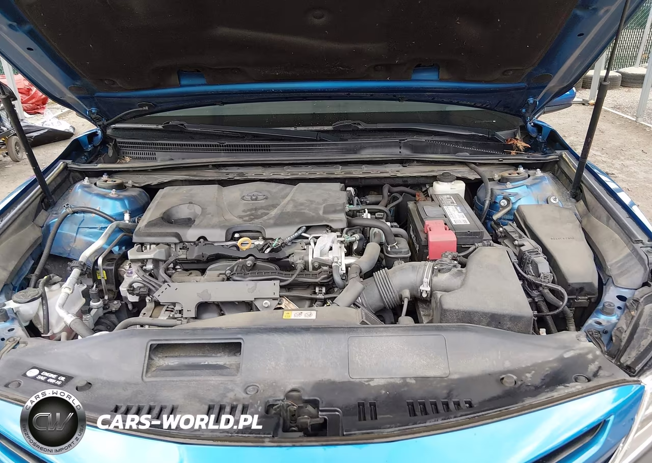 2018 Toyota Camry Se VIN:4T1B11HK8JU114111 - 10