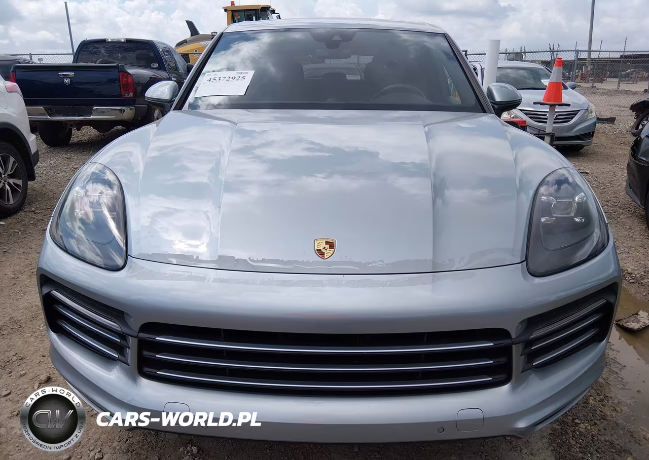 2020 Porsche Cayenne VIN:WP1AA2AY8LDA01166 - 12