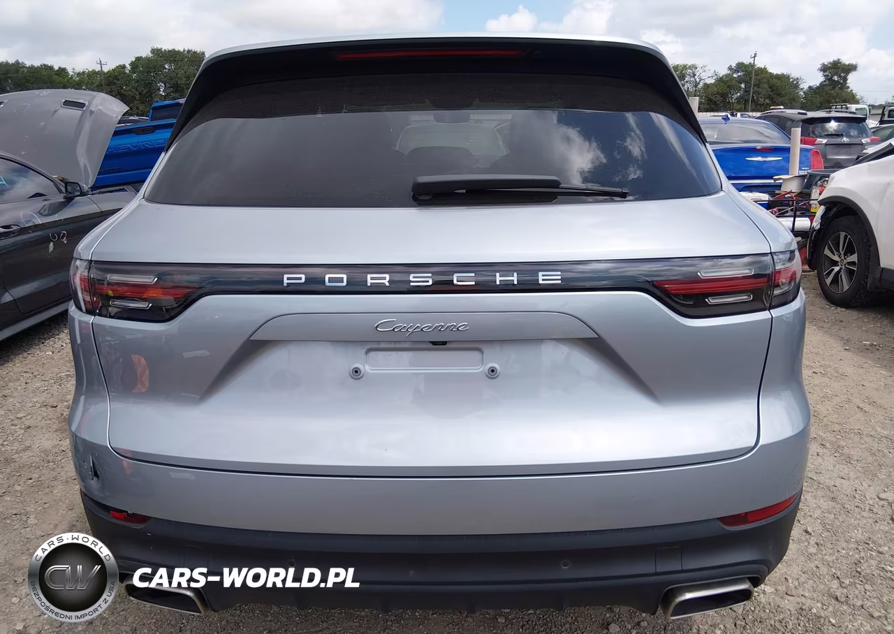 2020 Porsche Cayenne VIN:WP1AA2AY8LDA01166 - 16